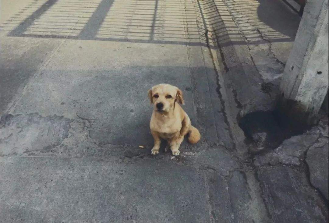 100个经典死亡故事,关于生命和死亡的故事