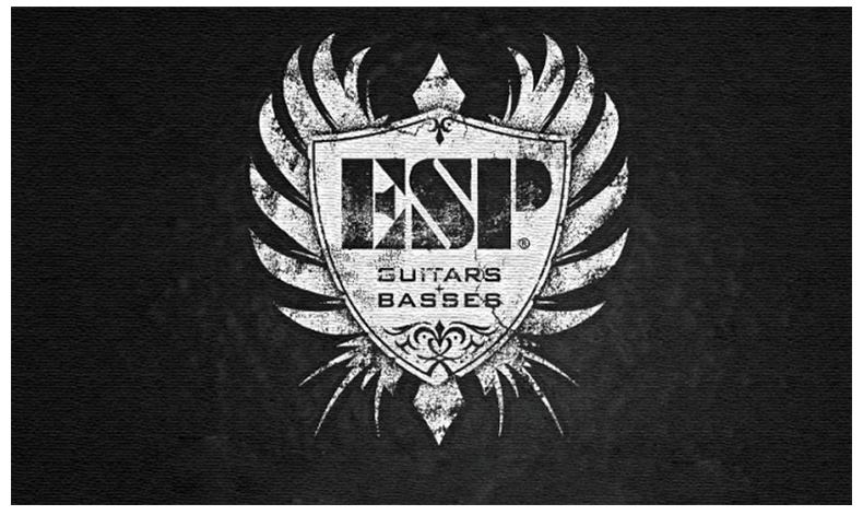 吉他品牌十大排名和logo,吉他各大品牌logo