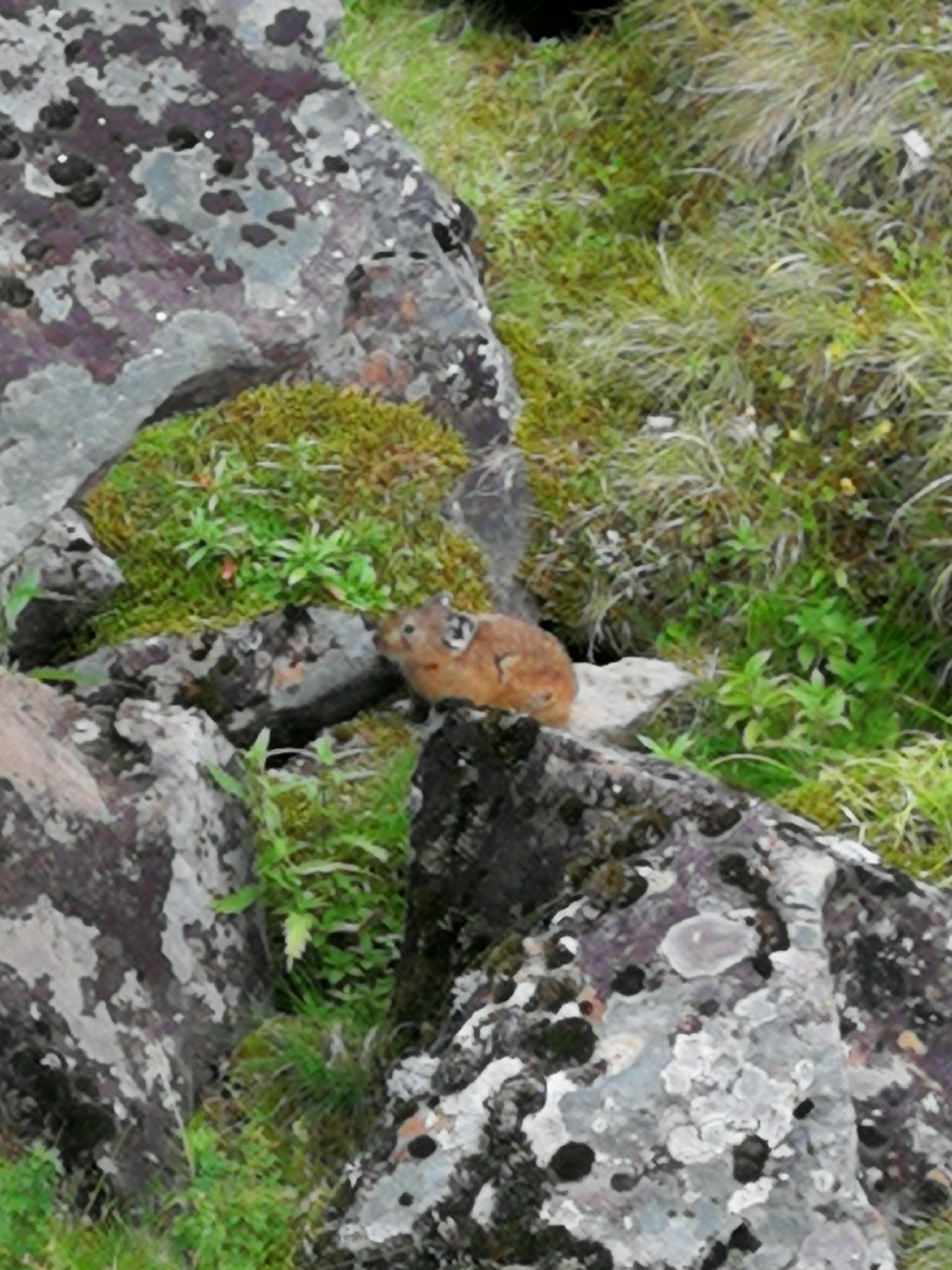 北京游阿尔山路线攻略,北京阿尔山旅游自由行攻略