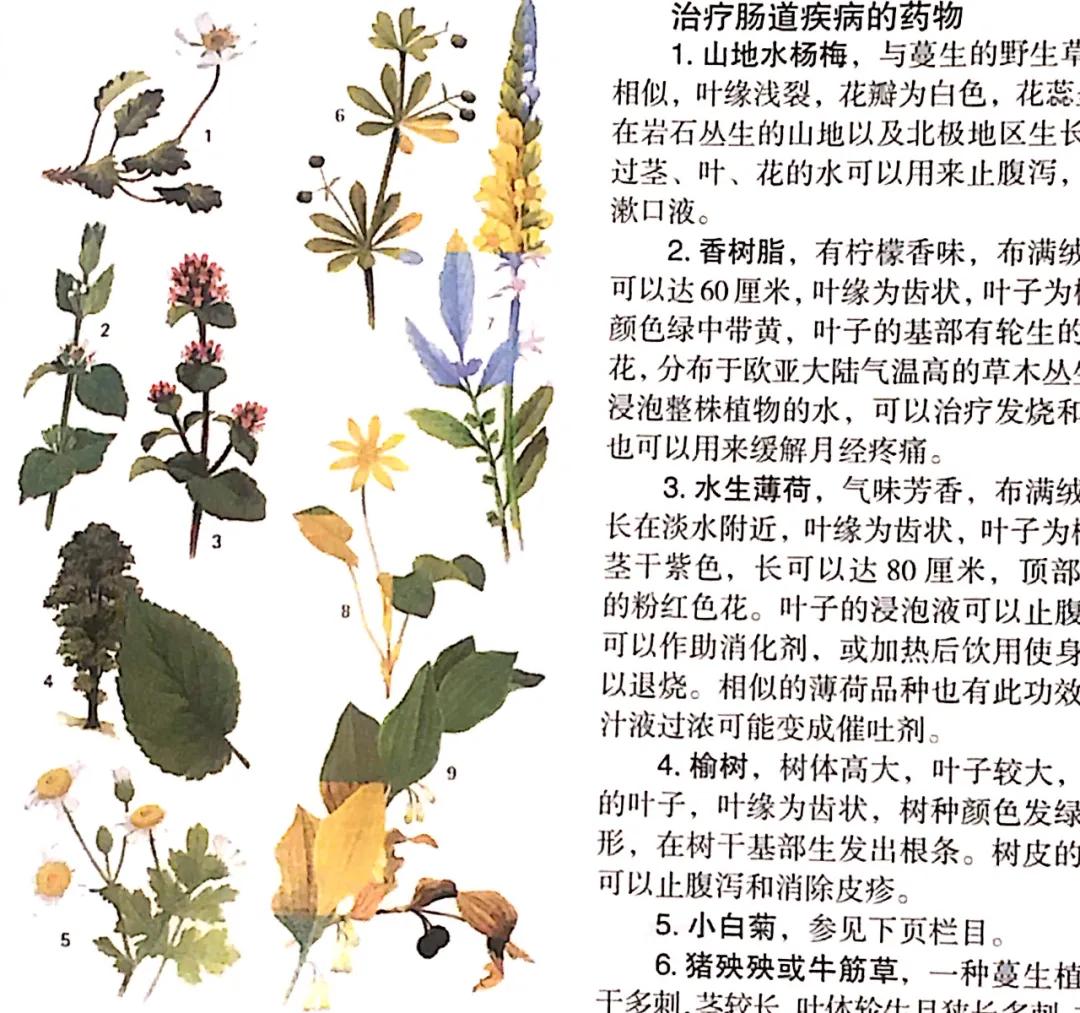 硬核保命指南,豆瓣评分6.7的书该不该看