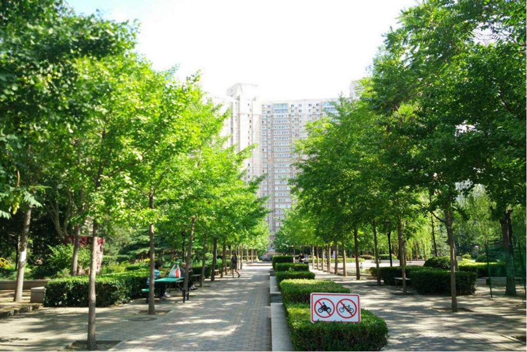 望京的房子值得买吗,望京西园三区房价走势图