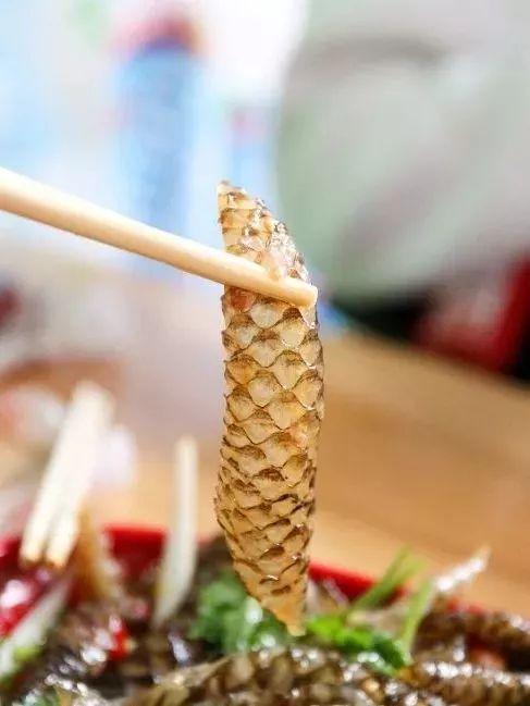 佛山新年美食有哪些,佛山春节不打烊美食