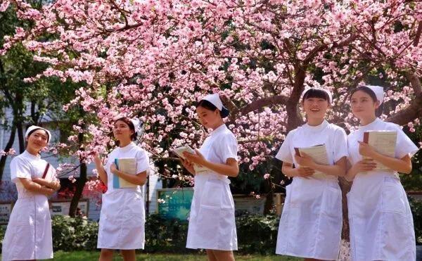 四川医专排名前十名,四川的医专学校有哪些