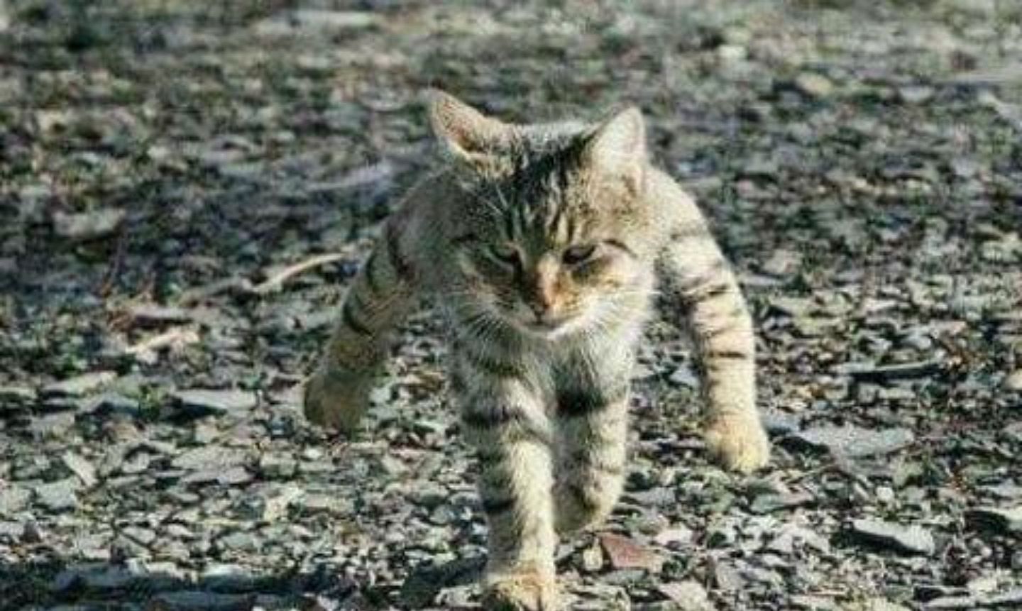 职场上不要得罪这几种人,职场上不要害怕得罪人必须翻脸