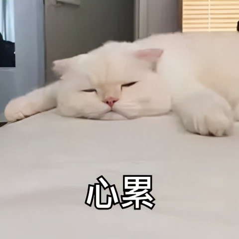 南京熊猫眼门诊,熊猫眼黑眼圈可以看医生吗