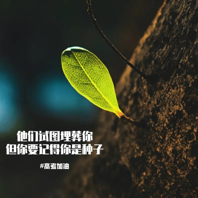 少年别慌只要不死总会出头,少年别着急你所期待都会如期而至