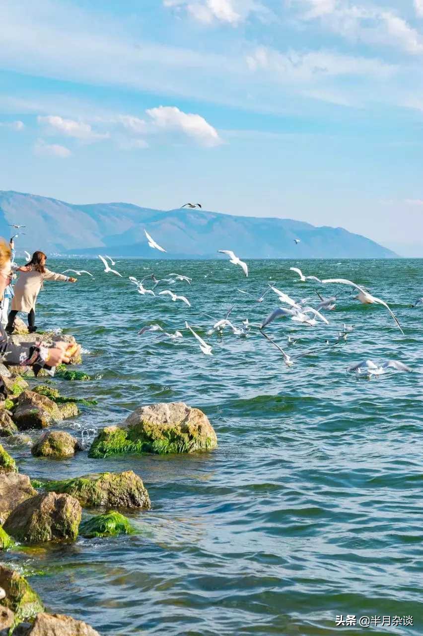 洱海被拆掉的那些海景客栈,洱海整顿还能游洱海吗