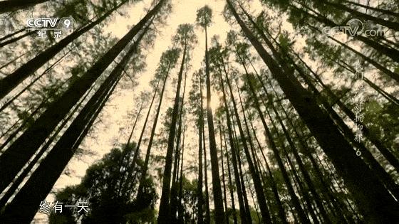 每30秒就有一个人自杀,求求别再叫她们想开点了