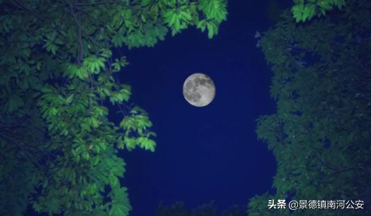 古诗夏夜微凉,古诗夏夜朗诵