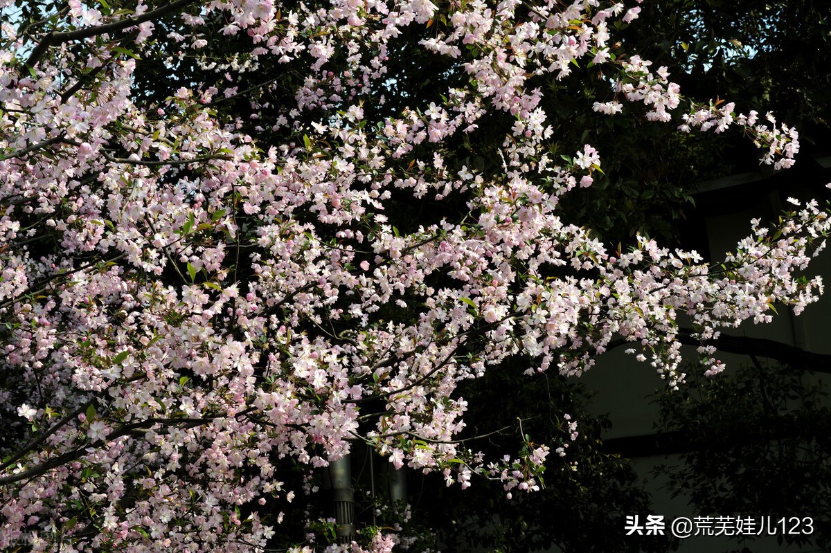 摆个龙门阵,来摆龙门阵