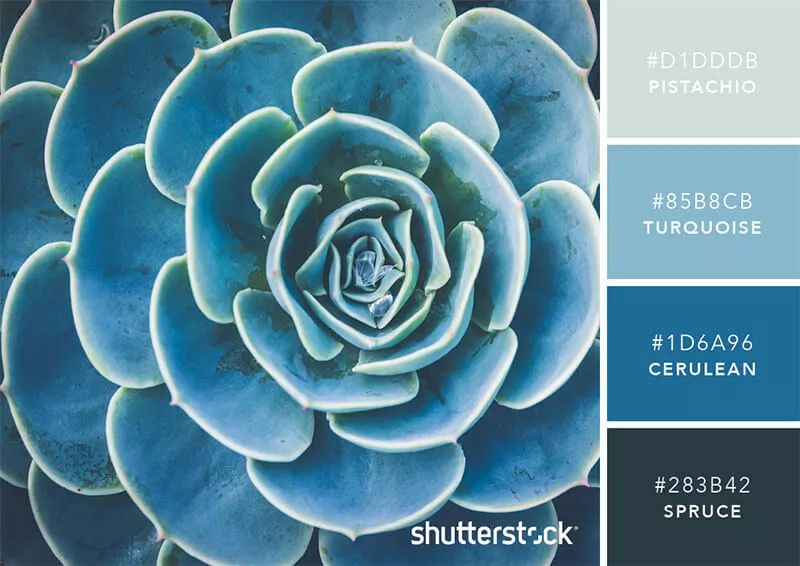 色彩搭配个人形象设计,色彩搭配都是业主亲自选择