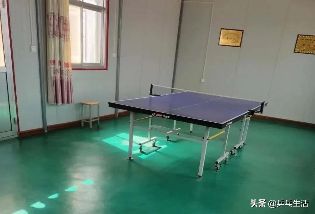 致敬我的球友:重球、重情、重义的颗粒老杨-乒乓生活作品展