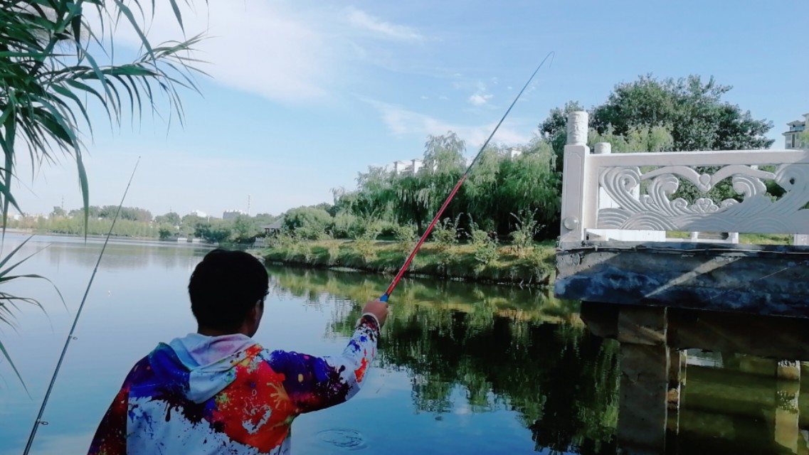 浮漂有口不浮,浮漂有口无鱼是什么原因