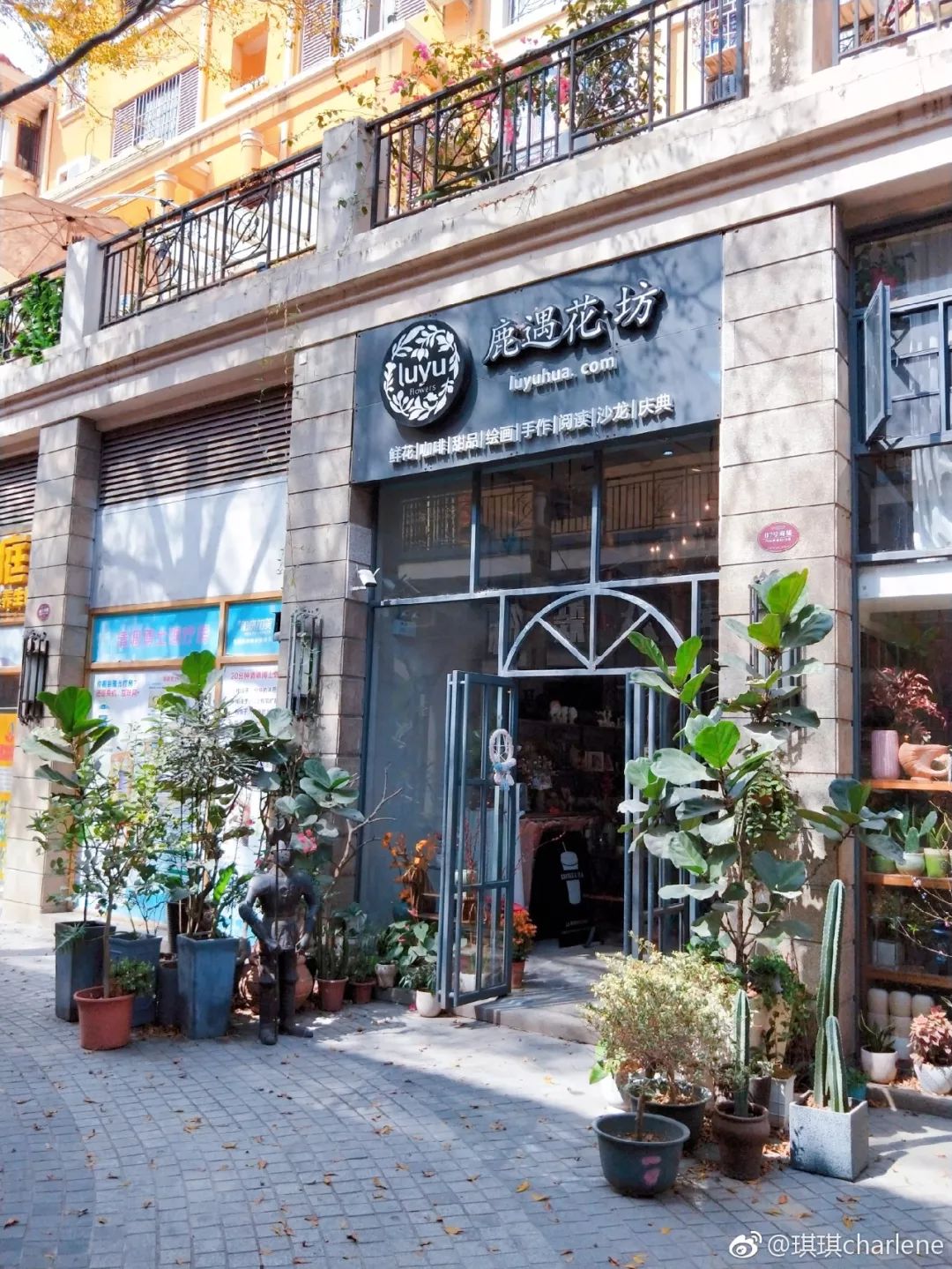 深圳有几家出名花店,深圳比较好的花店推荐