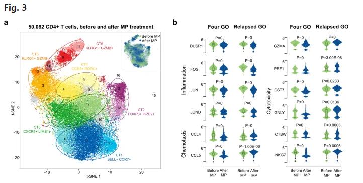 国际首次！陕西教授团队在眼病治疗中又获重大突破，引起国际关注！