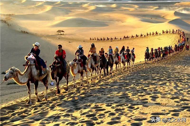 天水好玩的地方打卡地,天水适合打卡的好去处