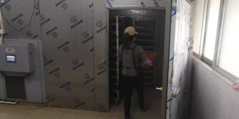 市场看好：鳄鱼肉烘干机出品高品质鳄鱼肉干