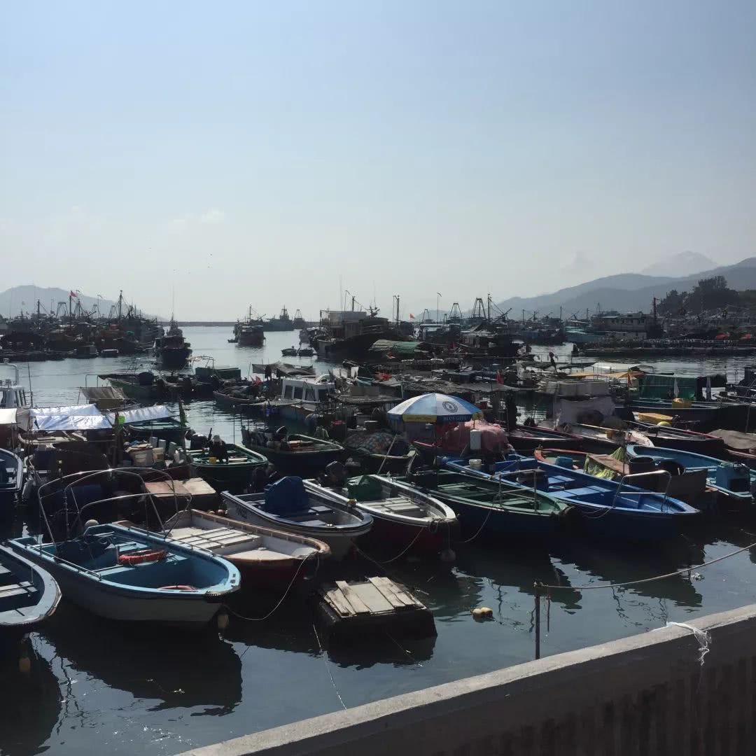 香港长洲岛吃海鲜,在香港吃澳门美食