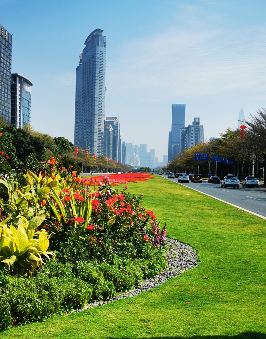 航拍深圳深南大道高楼,深圳福田区高楼打卡拍照