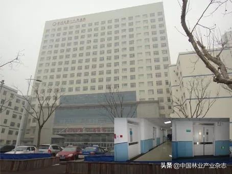 品桥木门：北京大兴机场|凤凰已经展翅，未来正在启航，我门承蒙青睐