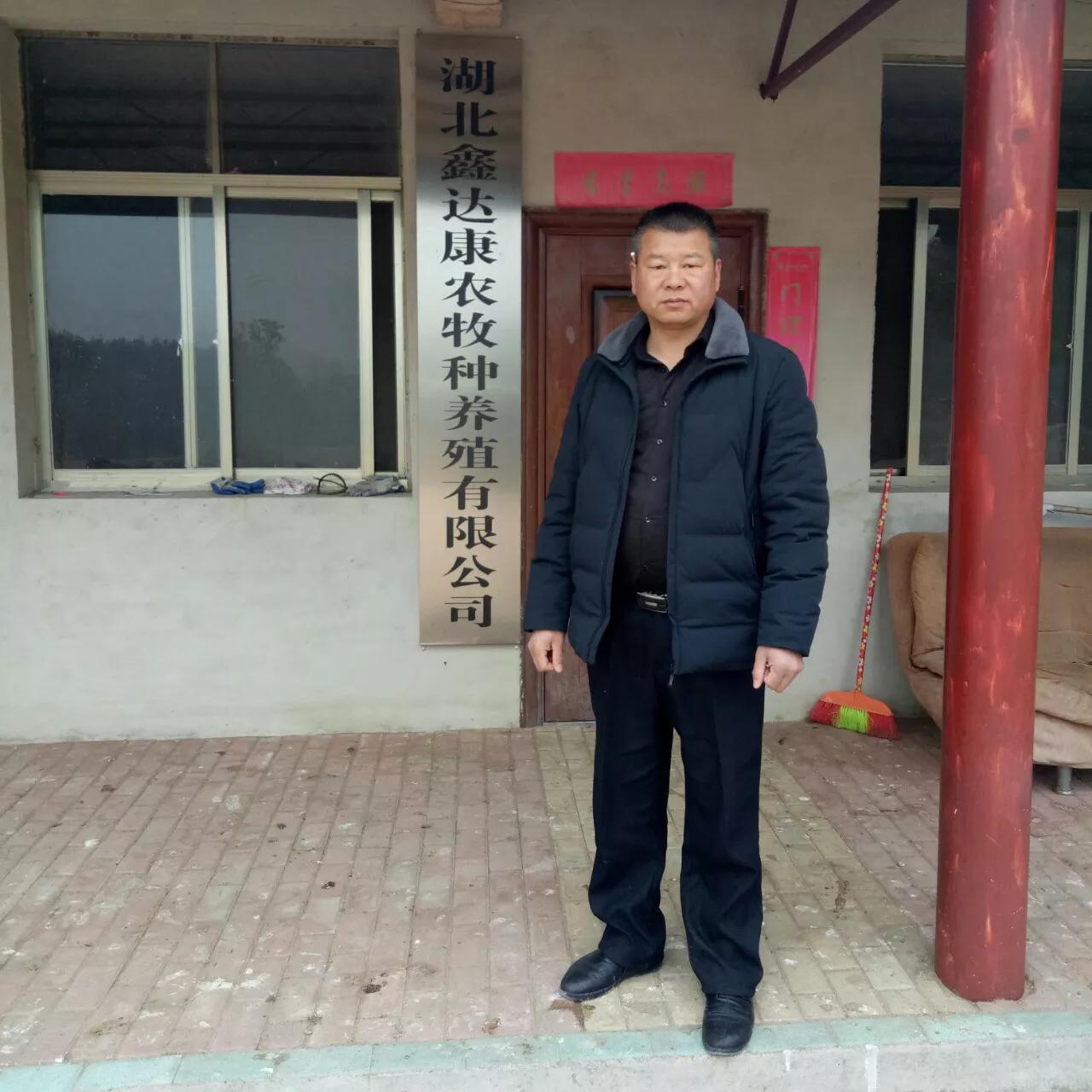 乡贤带领农民增收致富,种植甜香瓜带动村民致富