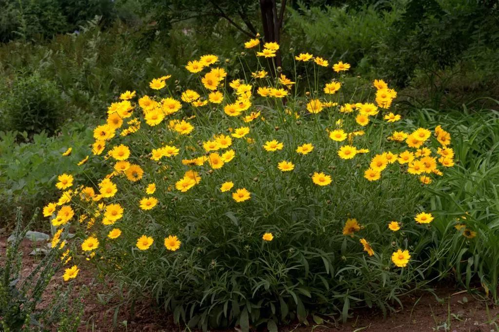 大连斑海豹保护区,盘锦斑海豹自然保护区