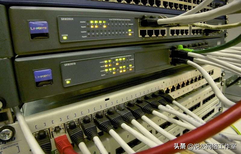 科普网站哪个最靠谱,网站建设推广开发