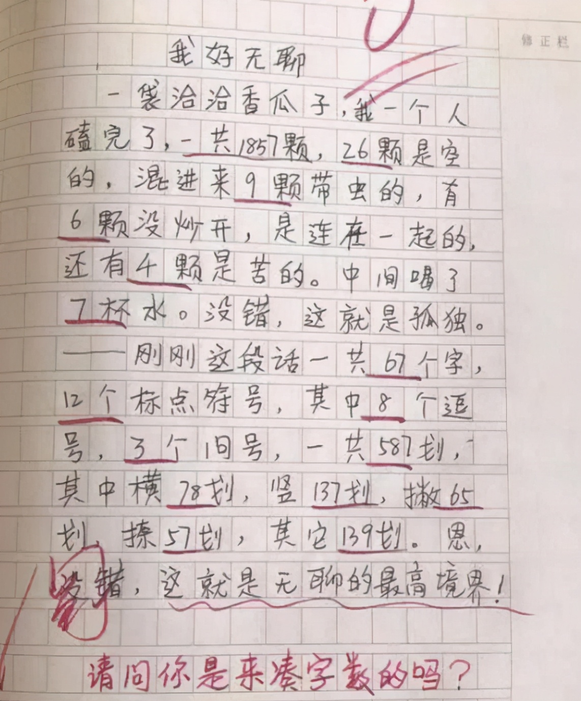 犯错了小作文,一不小心犯错作文