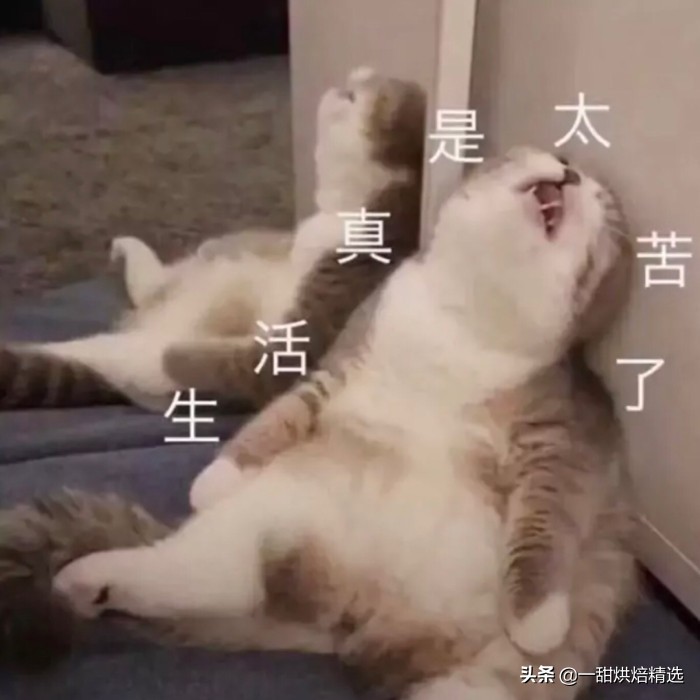 伴手礼行业黑幕,伴手礼盒倒卖