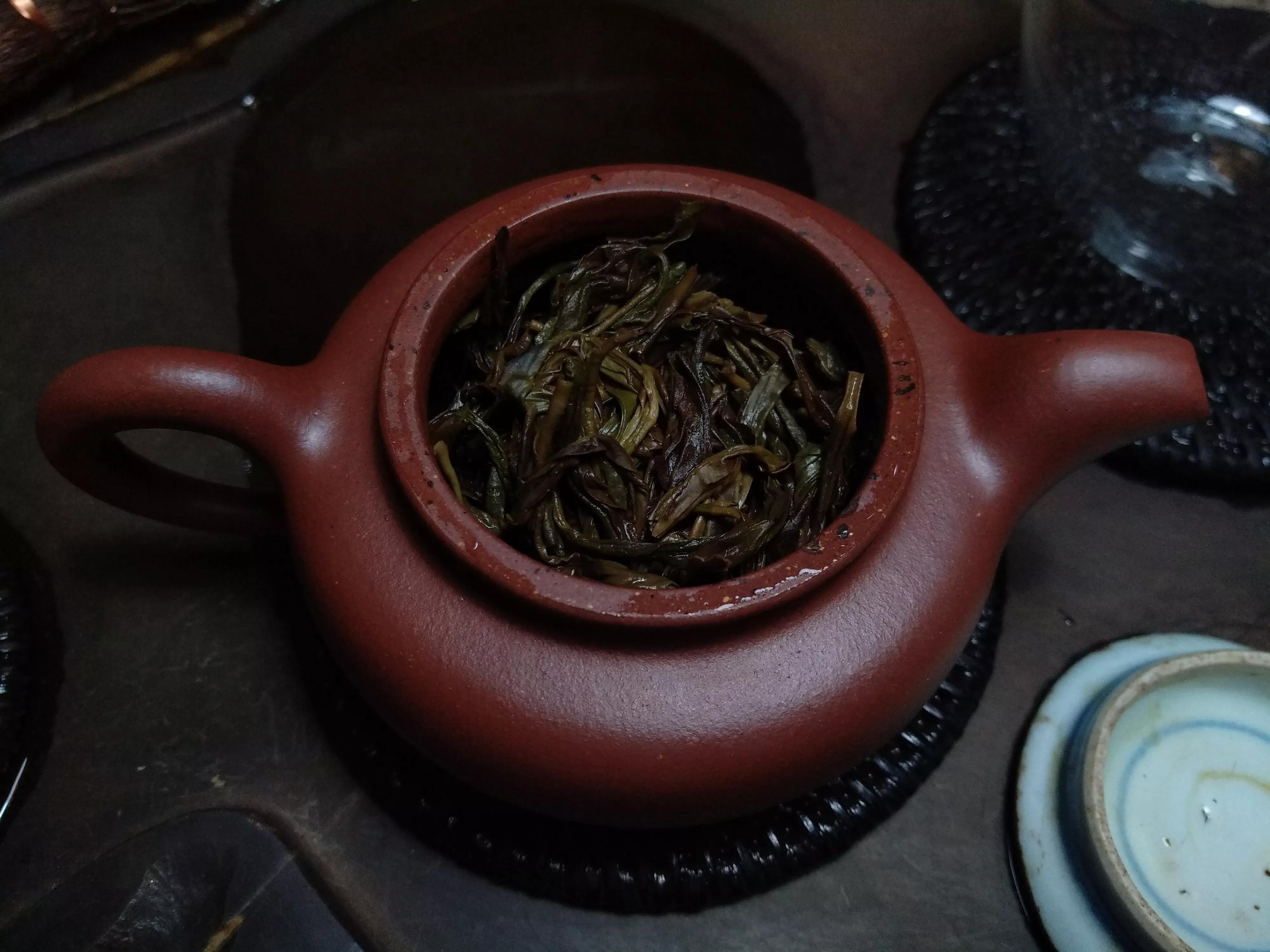 茶人的养成历程,吻茶怎么样