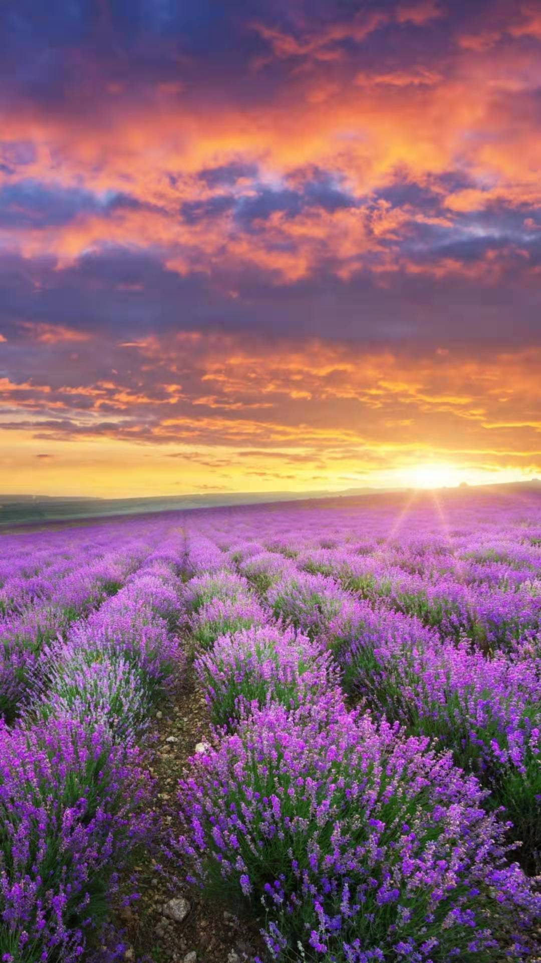 客户要求返佣金还可以全额退保吗,客户要求返佣拒绝话术