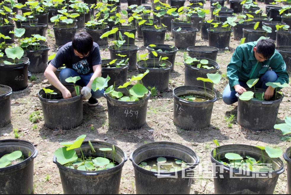 苏州人的口碑为什么那么好,真正的苏州人