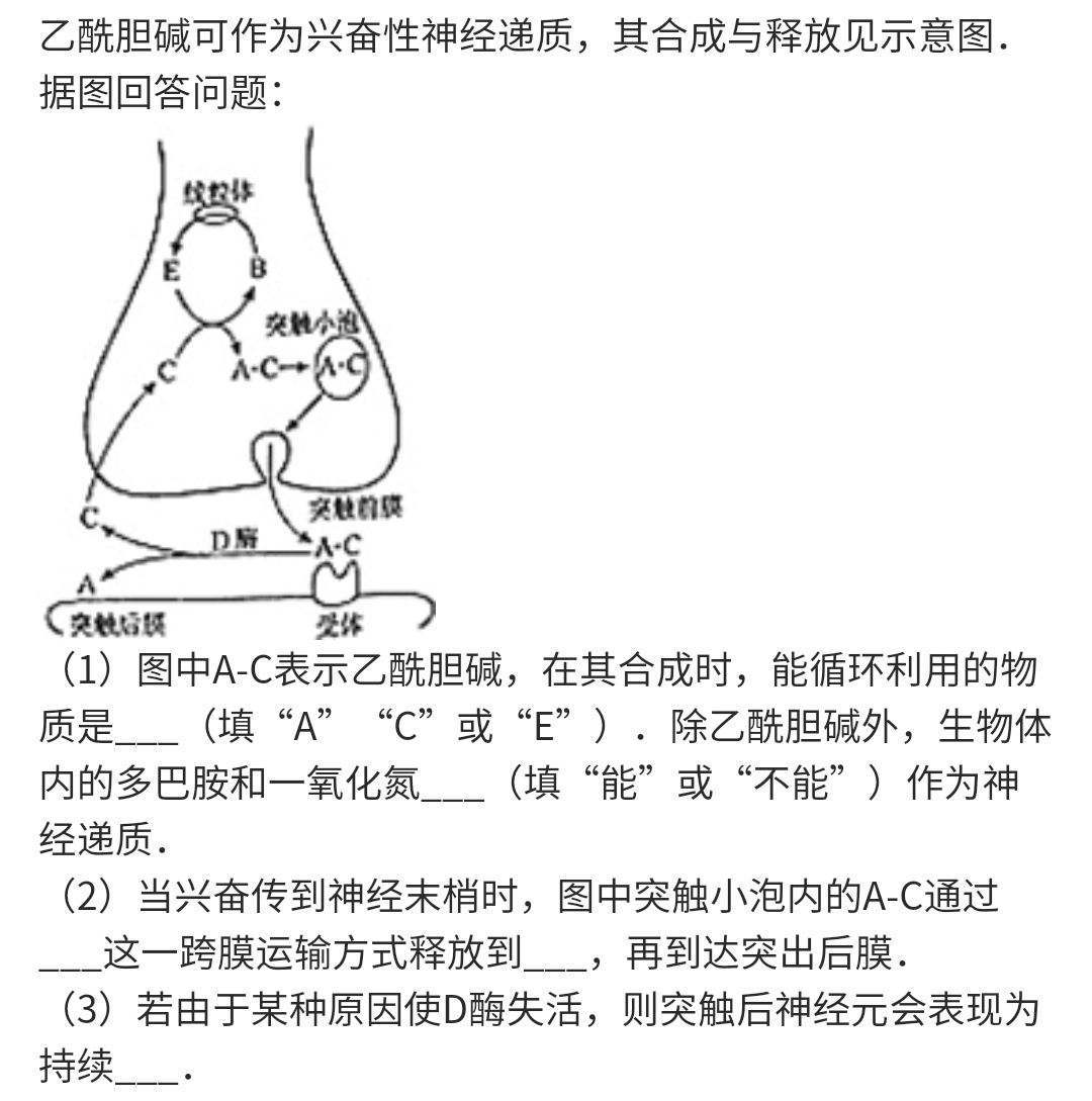 高中生物神经调节与体液调节关系,高中生物兴奋的传导与传递