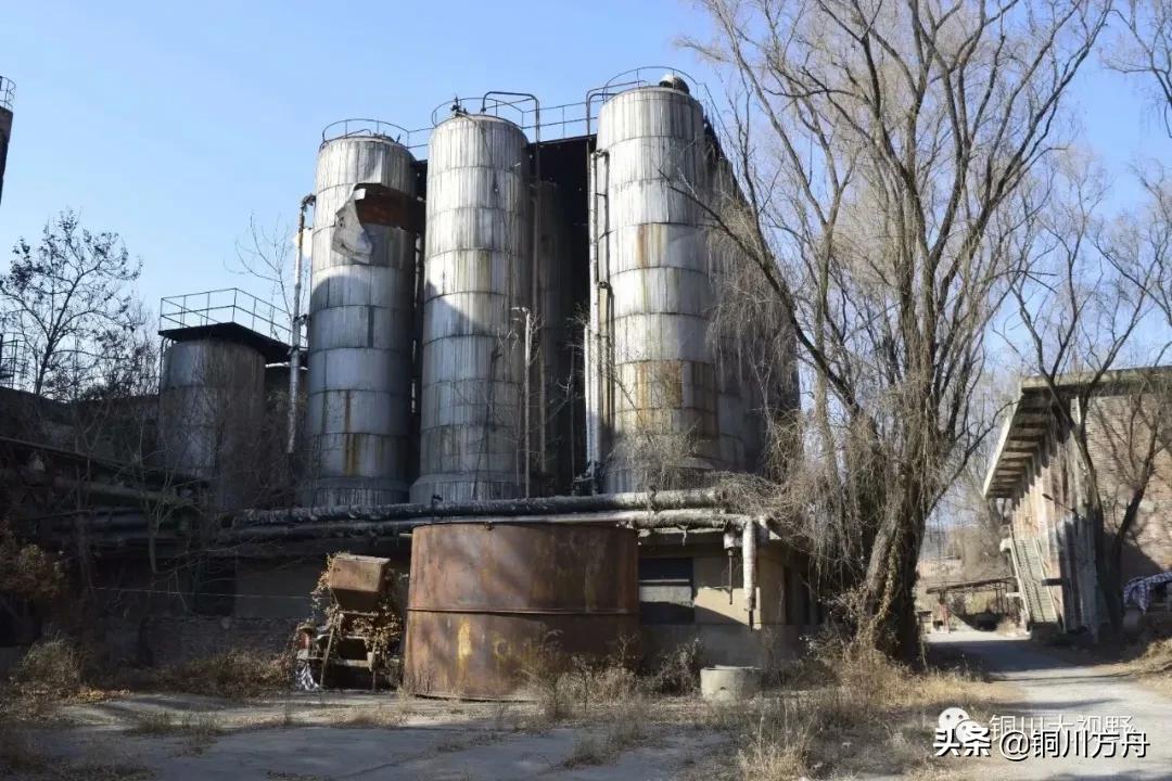 还记得当年啤酒的味道吗,铜川有什么啤酒品牌