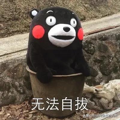 点开女朋友的QQ空间，里面的照片让他五雷轰顶