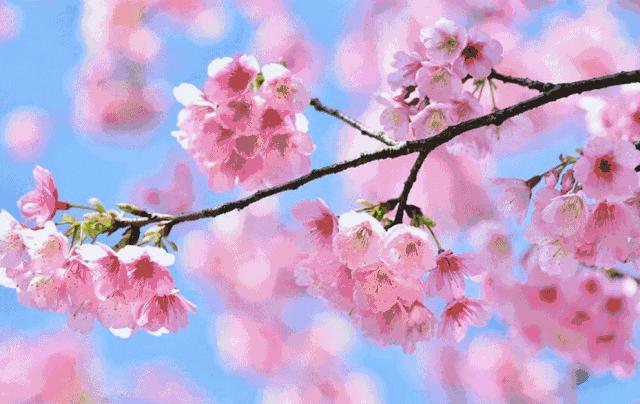 周末广州市内哪个公园最值得去,广州十大避暑旅游景点