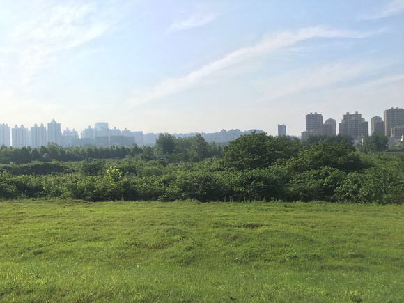 安庆长江五虎是哪几个城市,长江五虎是安庆排名第几