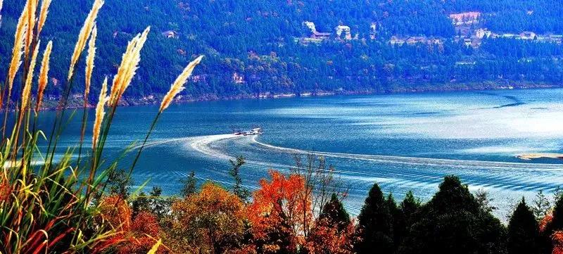 闲坐凉亭、徒步森林、畅快橡皮艇,快来苍溪纳凉避暑~