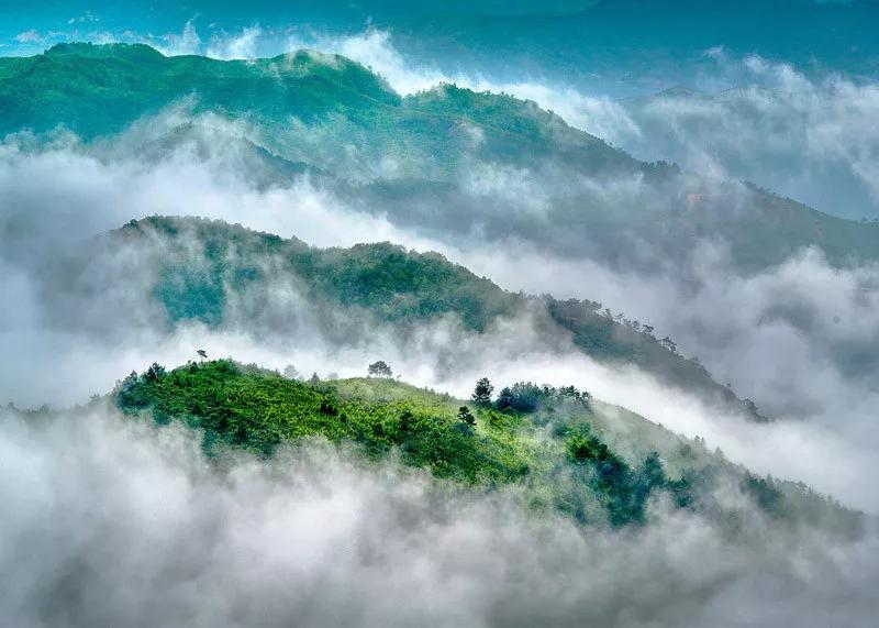 广东省最美自驾游244省道,中国最受欢迎的十大自驾路线top1