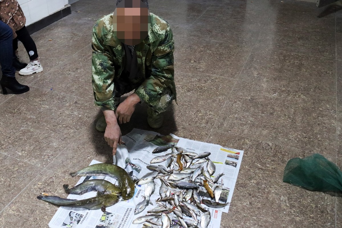 为啥电蚯蚓屡禁不止,电蚯蚓为什么危害环境