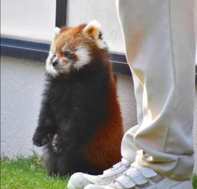 最奇葩的梦话是什么,你听说的最搞笑的梦话