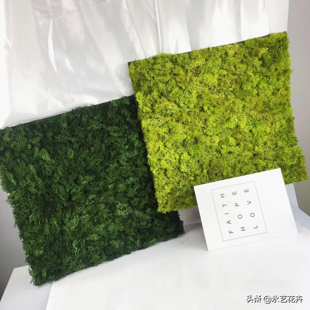 永生苔藓墙多少钱一平方,永生苔藓仿真植物墙