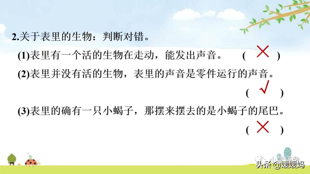 六年级下册语文表里的生物朗诵,六年级下册表里的生物小练笔400字