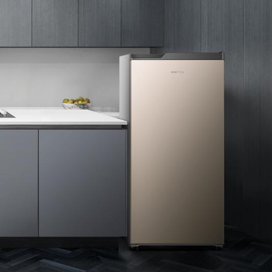 租房冰柜选多大的,租房用小冰箱好还是小冰柜好