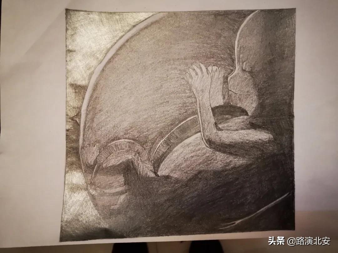 生命的故事绘本视频,生命的故事绘本绘画