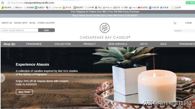 10万变5亿,这位女华人竟靠蜡烛征服总统夫人!