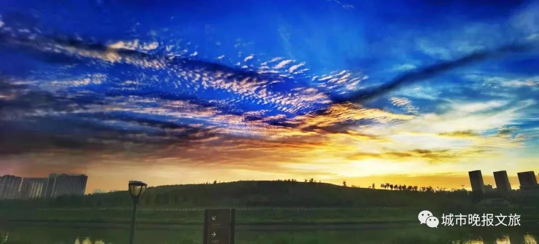 城晚拍拍丨飞鸟过帆影