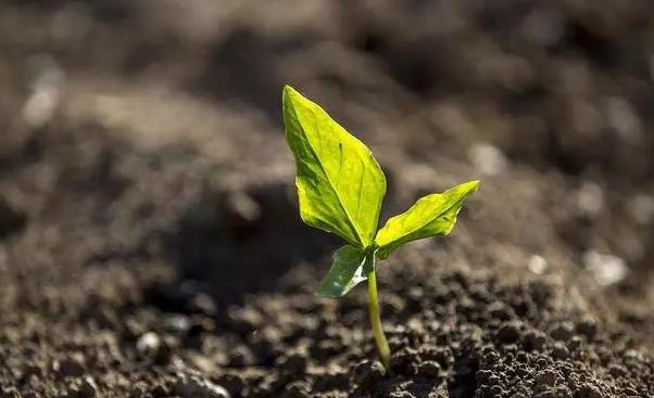 人到四十有存款是你做人的底气,人到40有多少存款才算及格