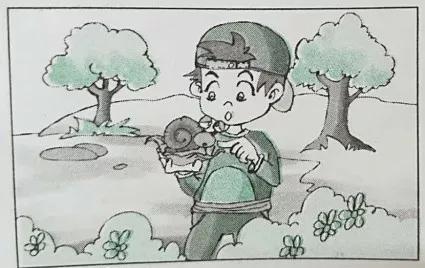 小学一二年级必考看图写话范文,二下看图写话100篇免费