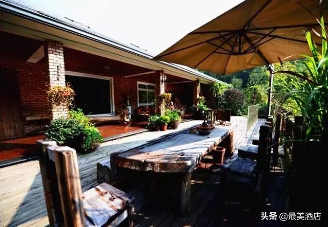 为一姑娘，10年他把30亩荒地打造成梦想家园，让人懂得真爱的意义